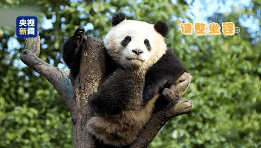 马会传真论坛13262cc四肖,多名大厂研发人员近期入职高校,详细释义解释落实_终极版V12.15